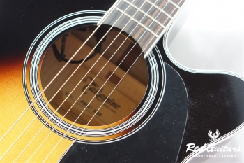 P6NC - Brown Sunburst Gloss